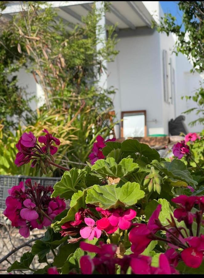 Alesta Apartment Mykonos Town Luaran gambar